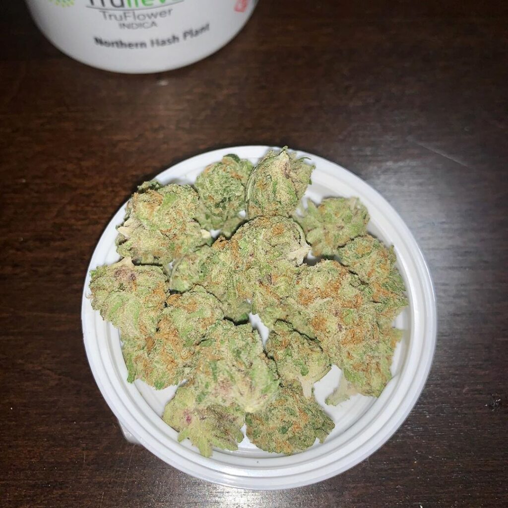 Northern Hash Plant strain Buy weed Online